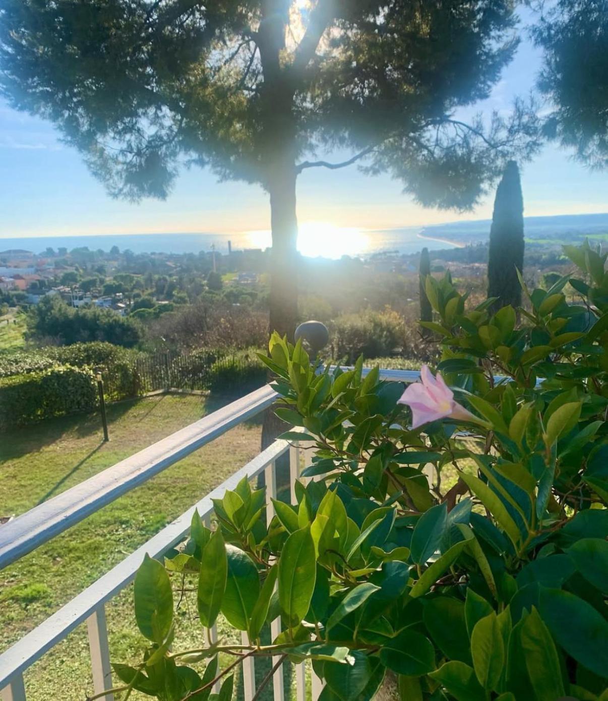 Tra Gli Alberi E Il Mare Bed & Breakfast Sirolo