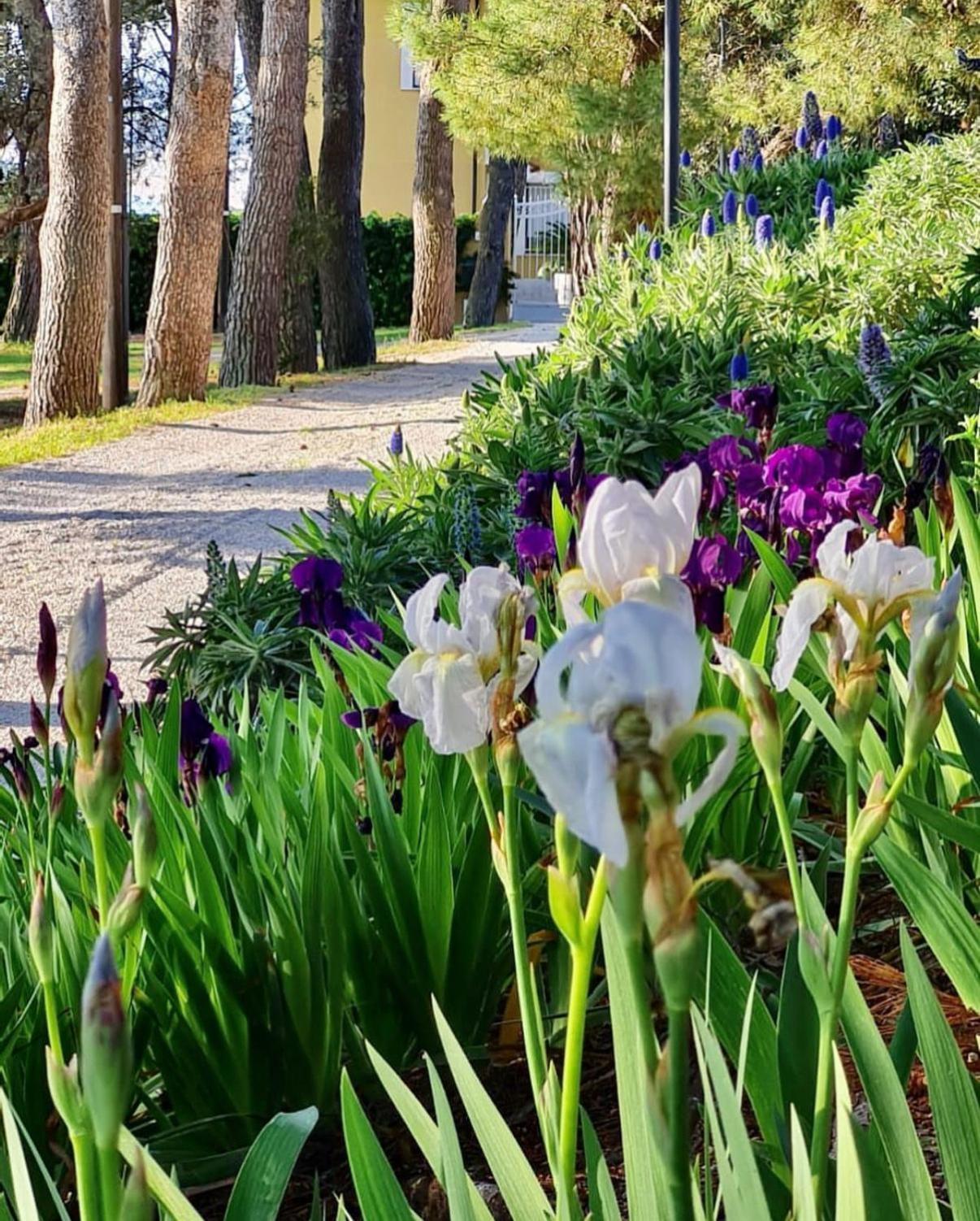 Tra Gli Alberi E Il Mare Bed & Breakfast