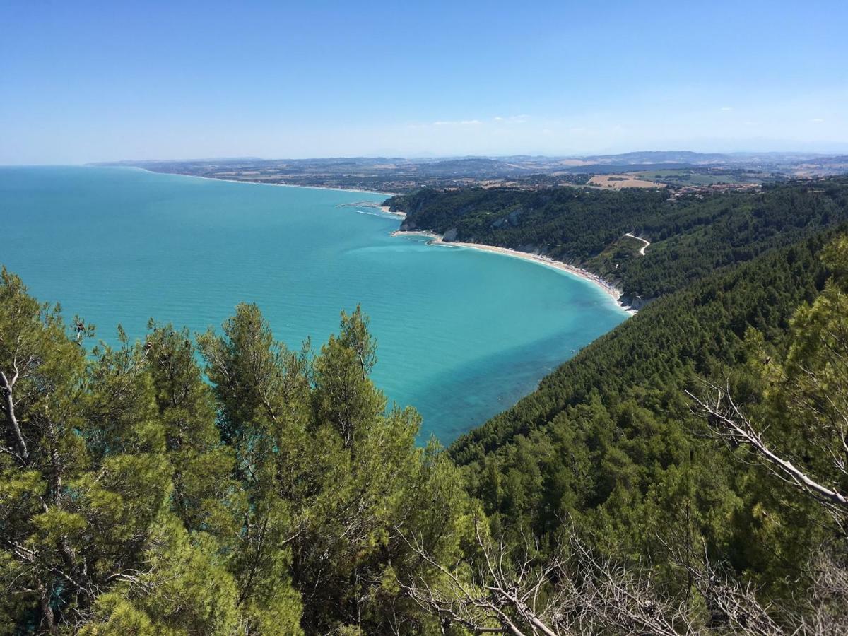 Bed & Breakfast Tra Gli Alberi E Il Mare