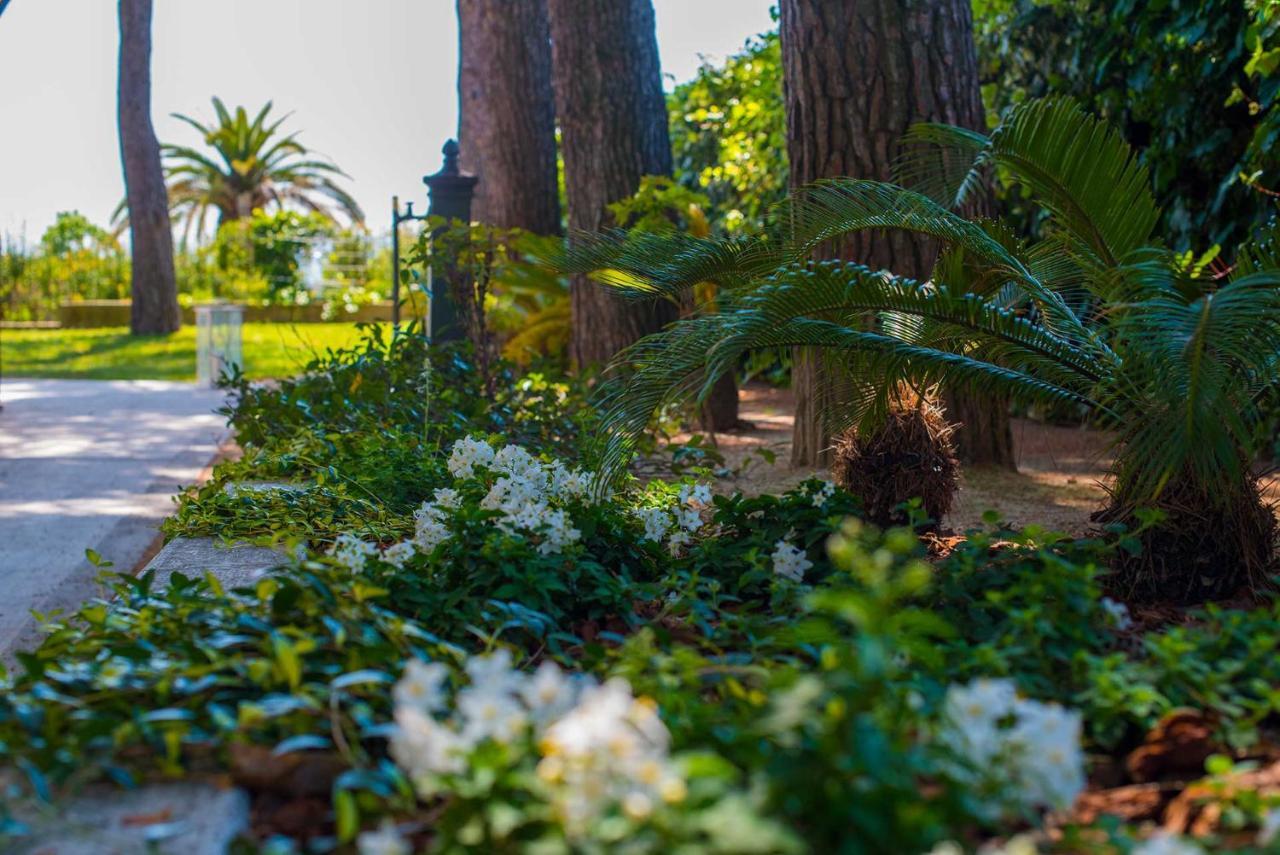 Tra Gli Alberi E Il Mare * Sirolo